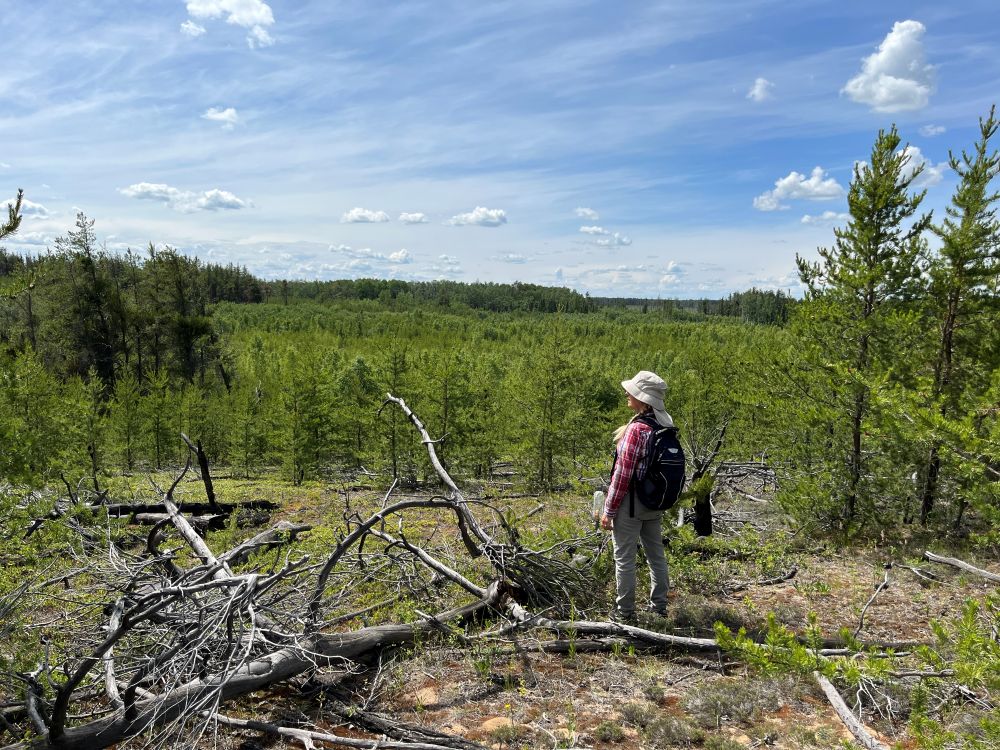 OpalNAWest_2025-06-27_P.Cotterill_view looking southwest