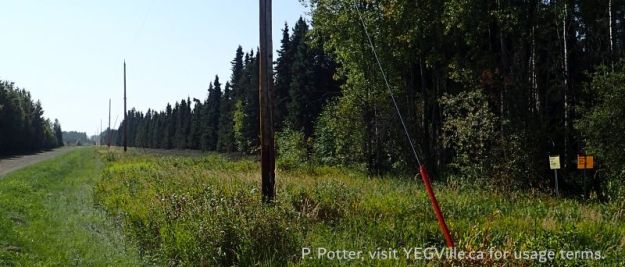 Looking South along the East border of the parcel, note the boundary signs in the NE corner on the right, Buck Lake NA (South), 2025-09-17, P. Potter.