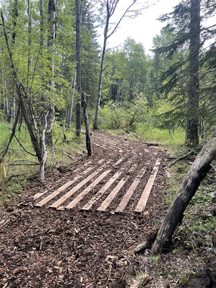 Trail remediation in Progress, Center of Alberta NA, ca 2025, Lands Operations Division, Alberta Forestry and Parks