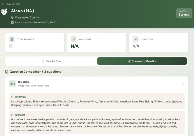 Detail of one Question X one Site (Alexo)