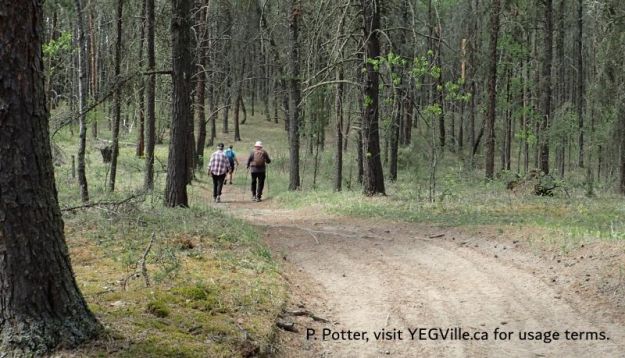 Hikers heading West along a sandy ATV track, NE Site Corner, Bridge Lake NA (OC), 2026-05-26, P. Potter.
